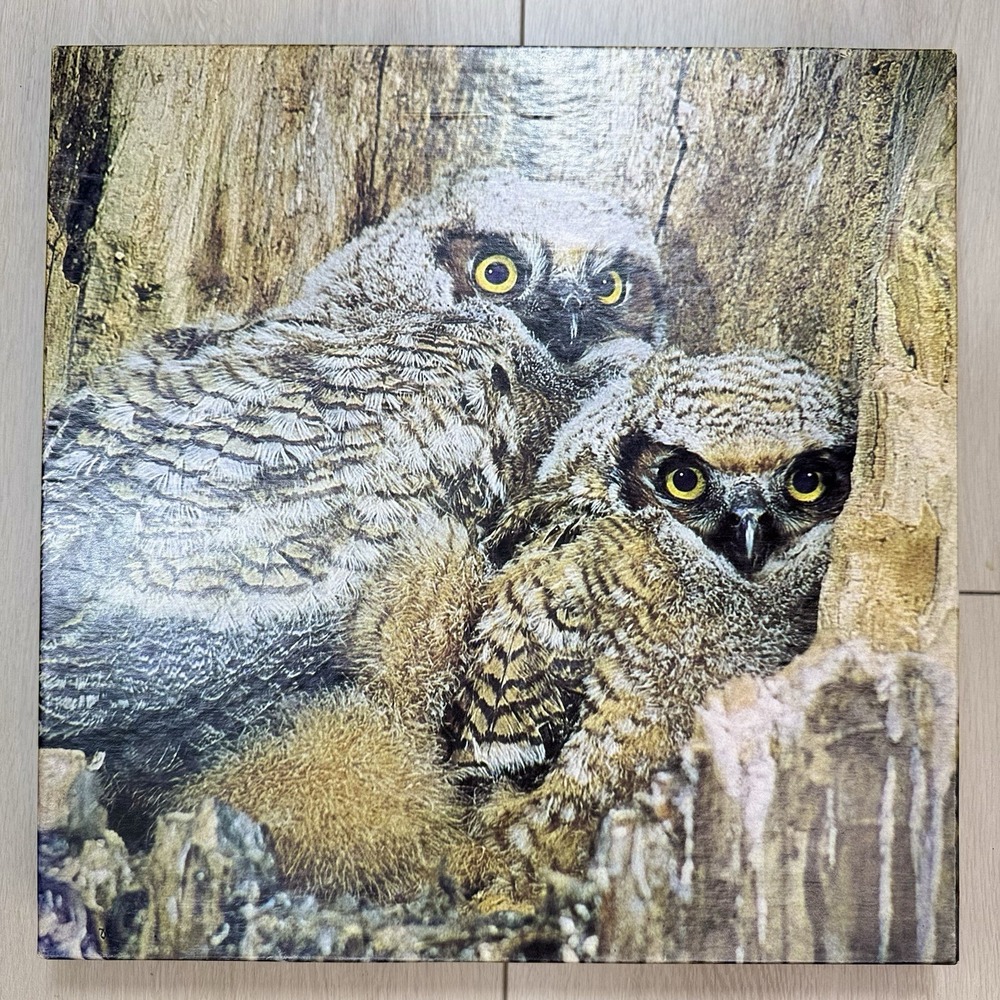 VTG Springbok Masters of the Night Owls Puzzle 500+ Pieces Complete USA 70s HTF!